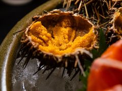-原志优秀食材·匠心料理·海胆主题(金亿广场店)