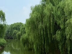 -赵州桥景区