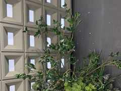 -霸王茶姬(正佳广场店)