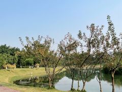 -升仙湖公园