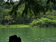 -广州市流溪河国家森林公园