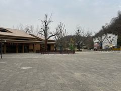 -千年银杏谷文化旅游区