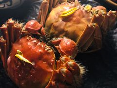 -夜上海(新天地店)