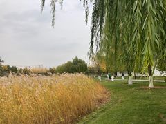 -西海子公园