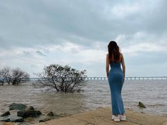 -宝安西湾红树林湿地公园