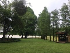 -南宁良凤江国家森林公园