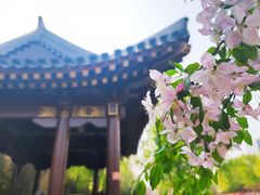 -海棠花溪(元大都城垣遗址公园)