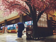 -大江户·温泉洗浴(浑南店)