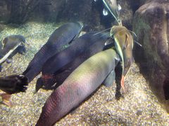 -太平洋海底世界