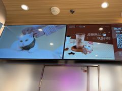 -KOI Thé(虹桥国际机场店)