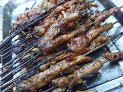 -宋文成烤肉(白沙巷店)