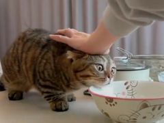 -满记甜品(荟聚购物中心店)