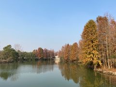 -上海海湾国家森林公园