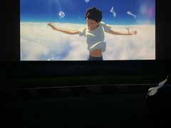 -枫花园汽车电影院(朝阳公园店)