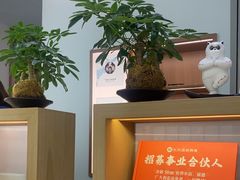 -长风拨筋养身(金虹桥店)