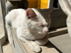 -宝通禅寺