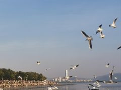 -深圳湾公园(南山区)