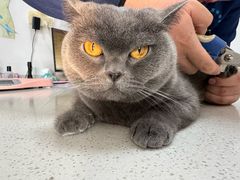 -汪说喵讲宠物乐园宠物酒店(红星美凯龙店)