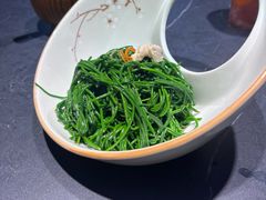 -蒙料·手把肉(望京店)