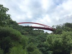 -金鸡山公园