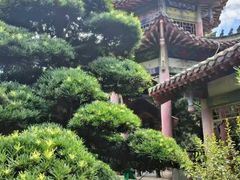 -华雅花园大酒店