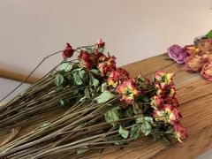 -六月花园咖啡馆(中关村东路店)