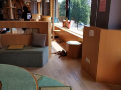大堂-CAT’S MEWSTAR CAFE·喵星球猫屋(晴湾咖啡店)