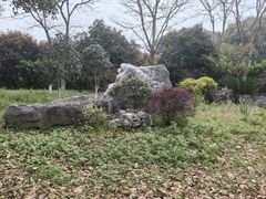 -丝绸小镇荻港古村