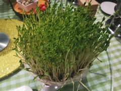-番食园鲜食火锅(高新店)