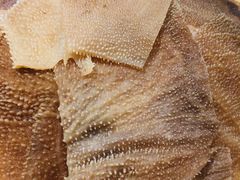 -蜀留香火锅(社会山店)