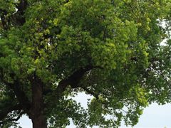 -东钱湖旅游度假区