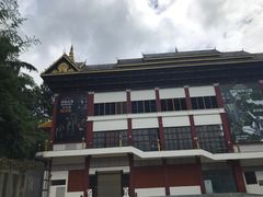 -西双版纳原始森林公园