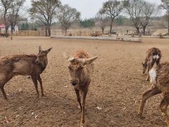 -赛汗塔拉风情园
