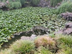 -上海醉白池公园