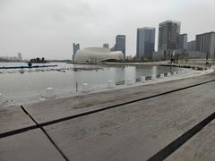 -金沙湖公园