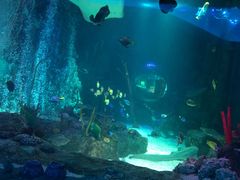 -沈阳海洋探索中心