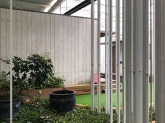 -前小桔亲子创意农场·草莓采摘·露营烧烤