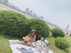 -灞河西岸滨河公园