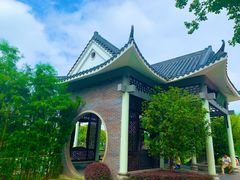 -映月湖公园