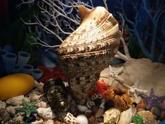 -多彩贵州城极地海洋世界