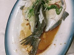 -尖沙咀大酒楼(大沥竹基南店·粤菜海鲜·宴会聚餐)