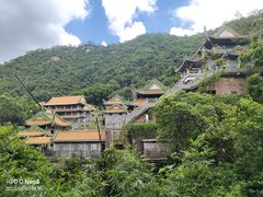 -南海湾森林生态园