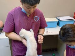 -天时宠物医院24小时疑难病例会诊中心(顾乡大街总院)