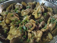 -鲤鱼塘农家山庄