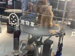 -宠物家(角门东店)