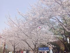 -堤角公园