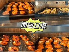 -面包日报