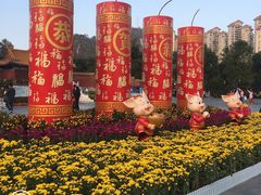 -珠海圆明新园