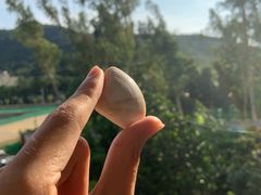 -西涌国际滨海旅游区