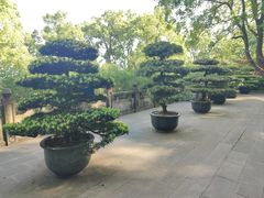 -南山植物园